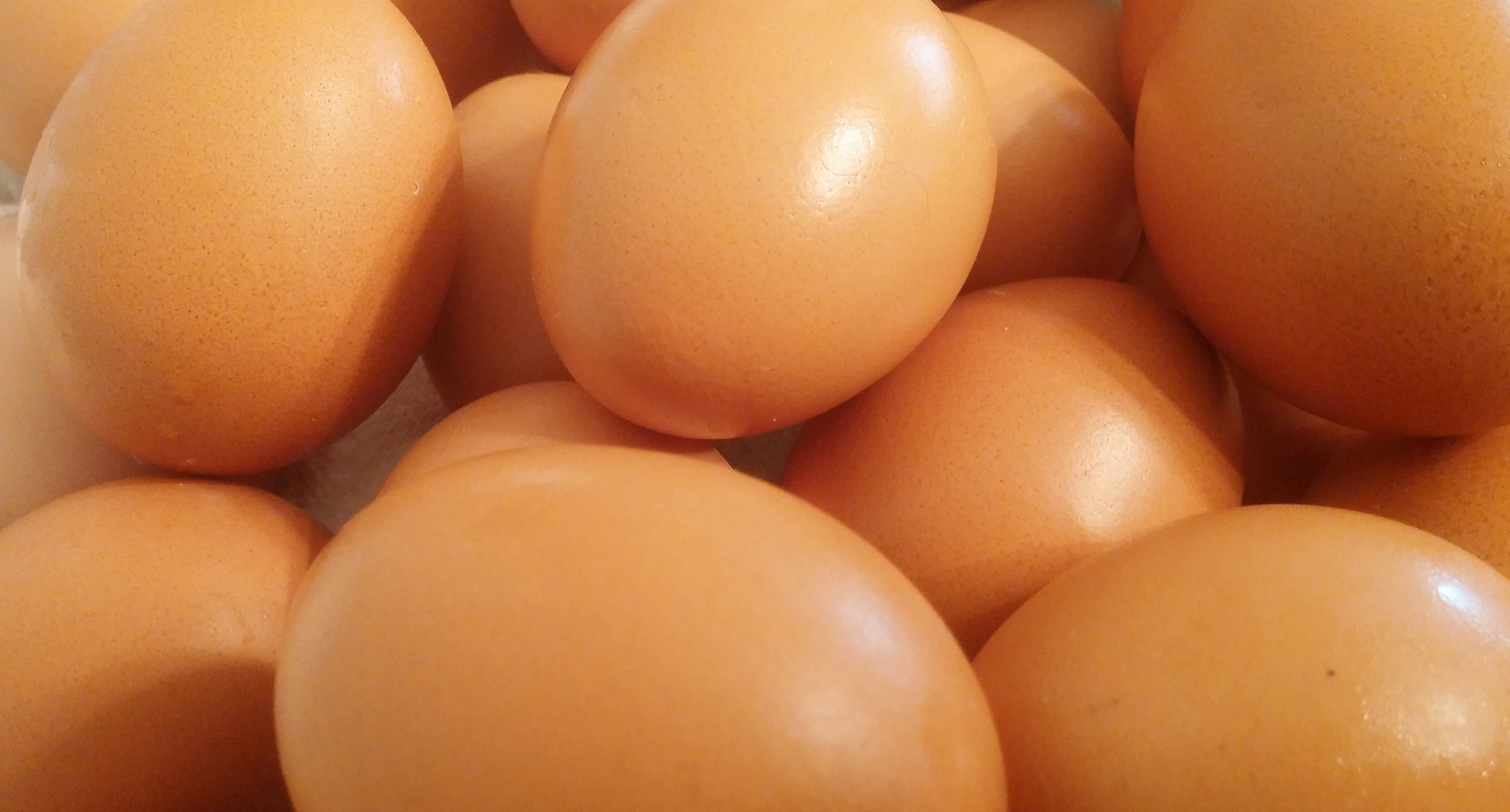 Почему яйцо оранжевое. Оболочки яйца. Сырое яйцо. Яйца коричневые картинки. Оранжевое яйцо.