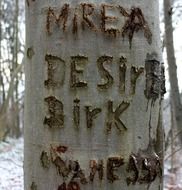 Inscription on the tree 