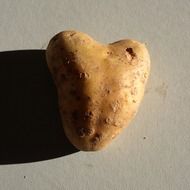 Potato in shape of heart