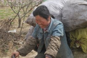 chinese woman is working