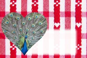 valentine heart and peacock feather drawing