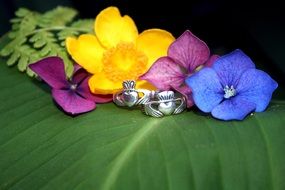 rings near flowers on a green leaf