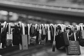 Metal padlocks love black and white