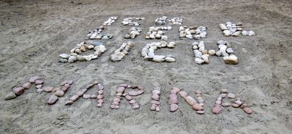 beach marina stone text