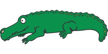 drawing of a green crocodile on a white background