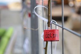 the red lock hangs on a metal fence close-up on blurred background