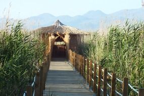 Wooden bridge in a field