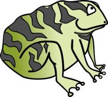 toad frog green drawing