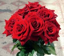 bouquet of red flowers