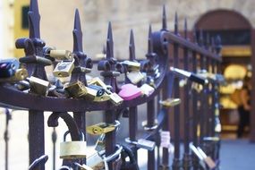 Locks on the fence of the bridge