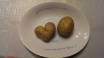 potato in a shape of a heart