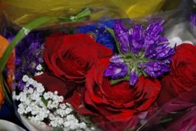 bouquet of colorful flowers