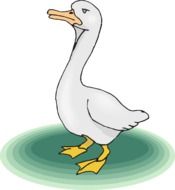 goose bird drawing