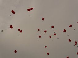 red heart form balloons with cards at sky