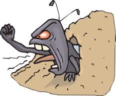 painted an angry ant