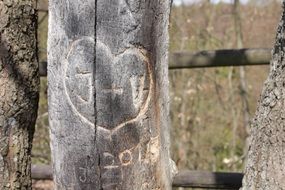 text and heart on wood on a sunny day