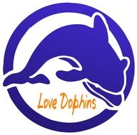 blue dolphin logo drawing