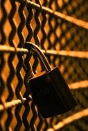 padlock on the fence close-up