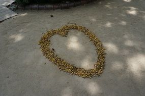 vegetables in shape of heart