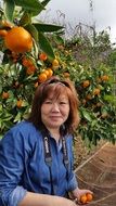 woman on the orange plantation