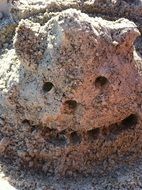 sand figure, smiling animal head