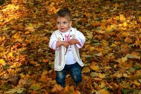 smiling baby with blue eyes on a background of yellow autumn leaves