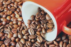 red and white coffee mug surrounded and filled with coffee beans