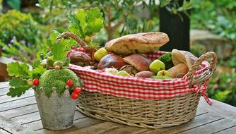 basket with mushrooms on the background of autumn