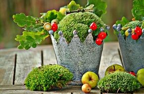 use of moss and oak leaves for autumn decorations