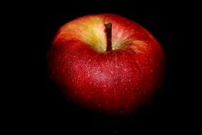 red apple in black background