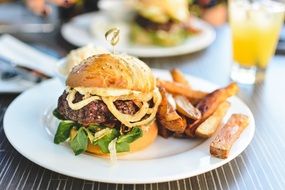 delicious homemade burger with fries