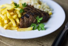 lamb steak with french fries on a plate