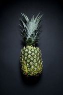 healthy ripe pineapple with a blck background