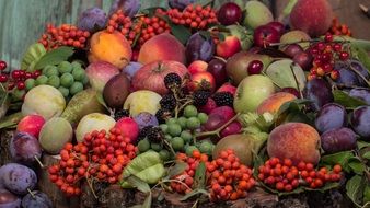 large pile of different fruits and berries
