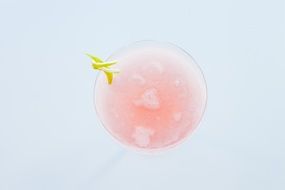 pink cocktail