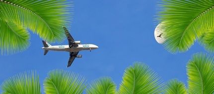 airplane in blue skies with a moon