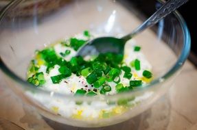 yogurt, natural, white, cheese ,chives,healty,herb