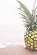 pineapple on the beach