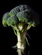 fresh healthy broccoli on a black table