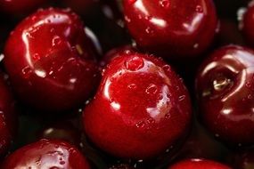 washed ripe cherry