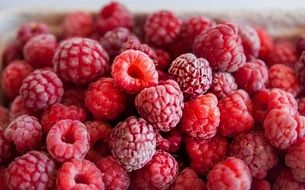 large basket of fresh resberries from the market