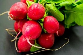 organic,fresh and heathy radishes at the table