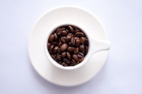 white tea cup filled with whole coffee beans