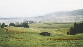 fog over the countryside