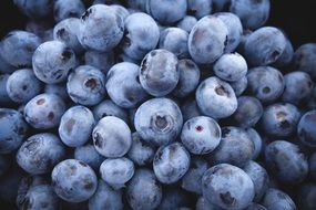 large pile of fresh blueberries