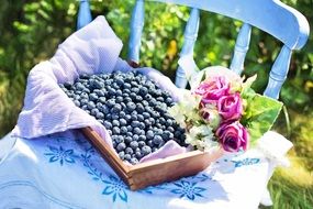 blueberries summer nature and healthy fruit