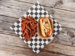 delicious dinner of a juicy hot dog with fries