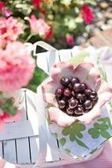 cherries in bowl healthy food