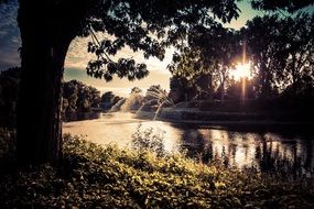 sunset at a clear lake at a beautiful park