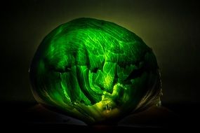 round glowing green cabbage